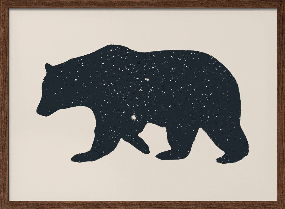 Bär Poster